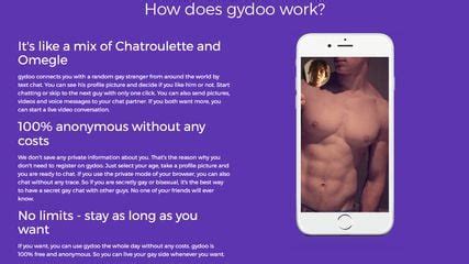 gay chat like omegle|Gydoo: Free anonymous gay chat 